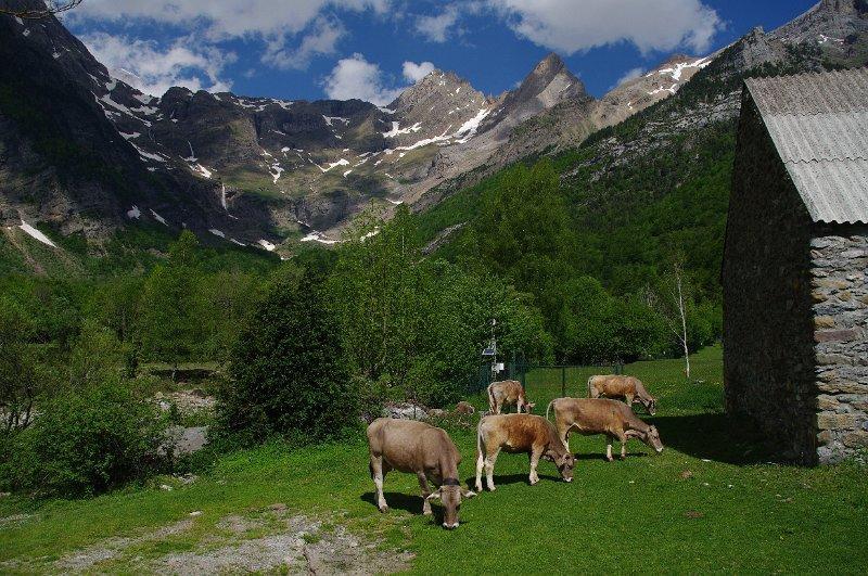 Bungalows Pena Montanesa Aínsa Kültér fotó